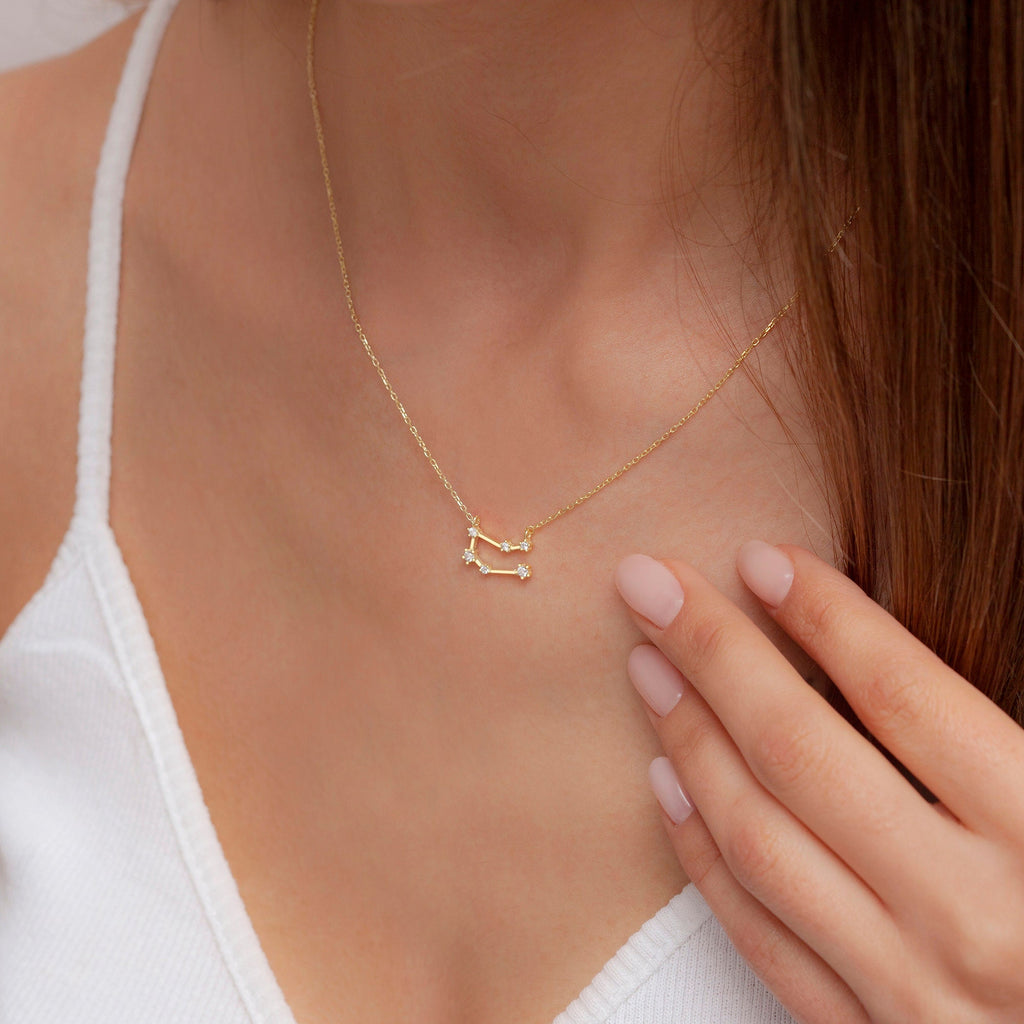 Sterling Silver Zodiac Necklace