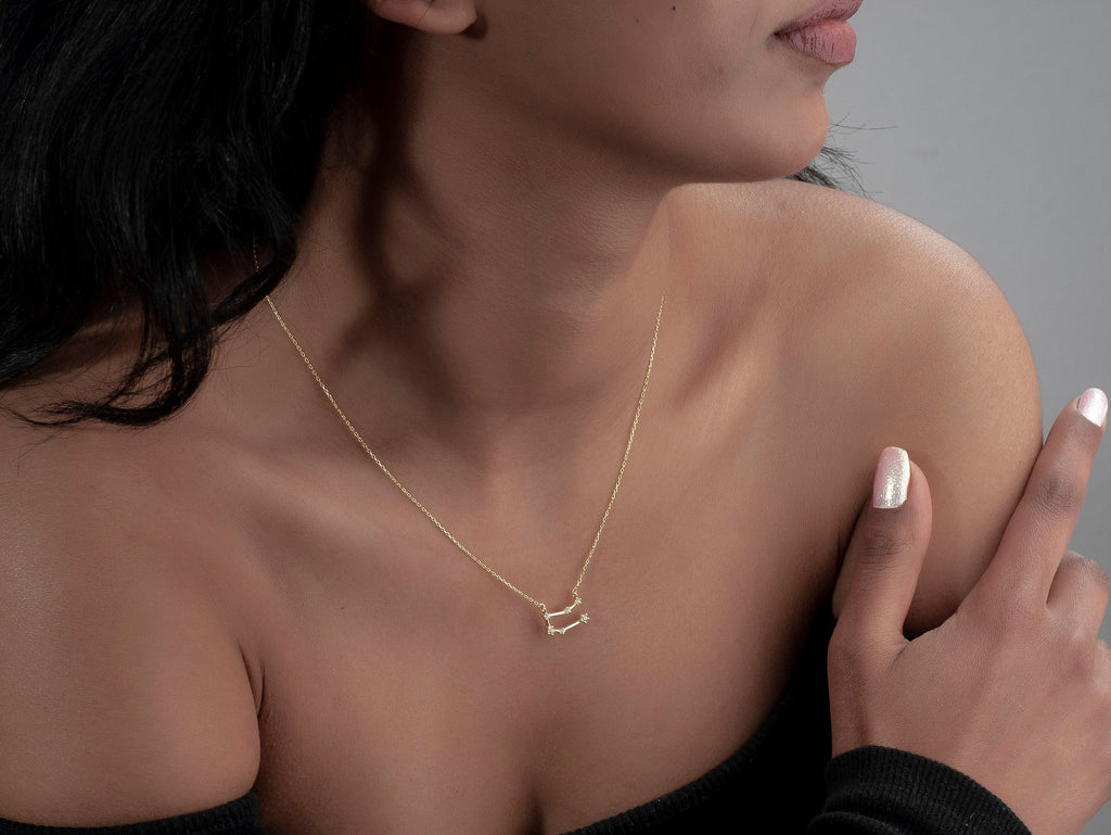 Sterling Silver Zodiac Necklace