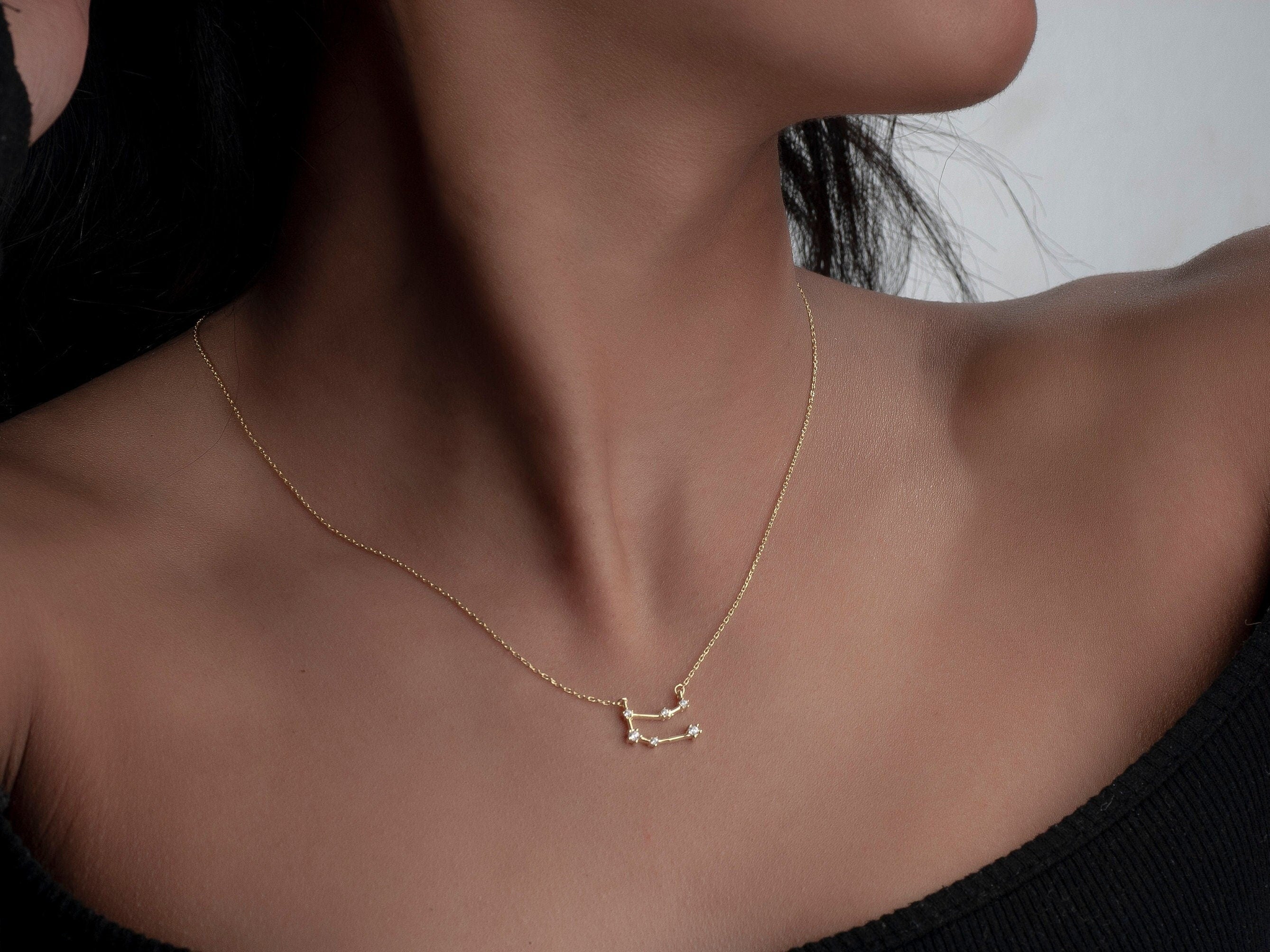 Sterling Silver Family Zodiac Necklace