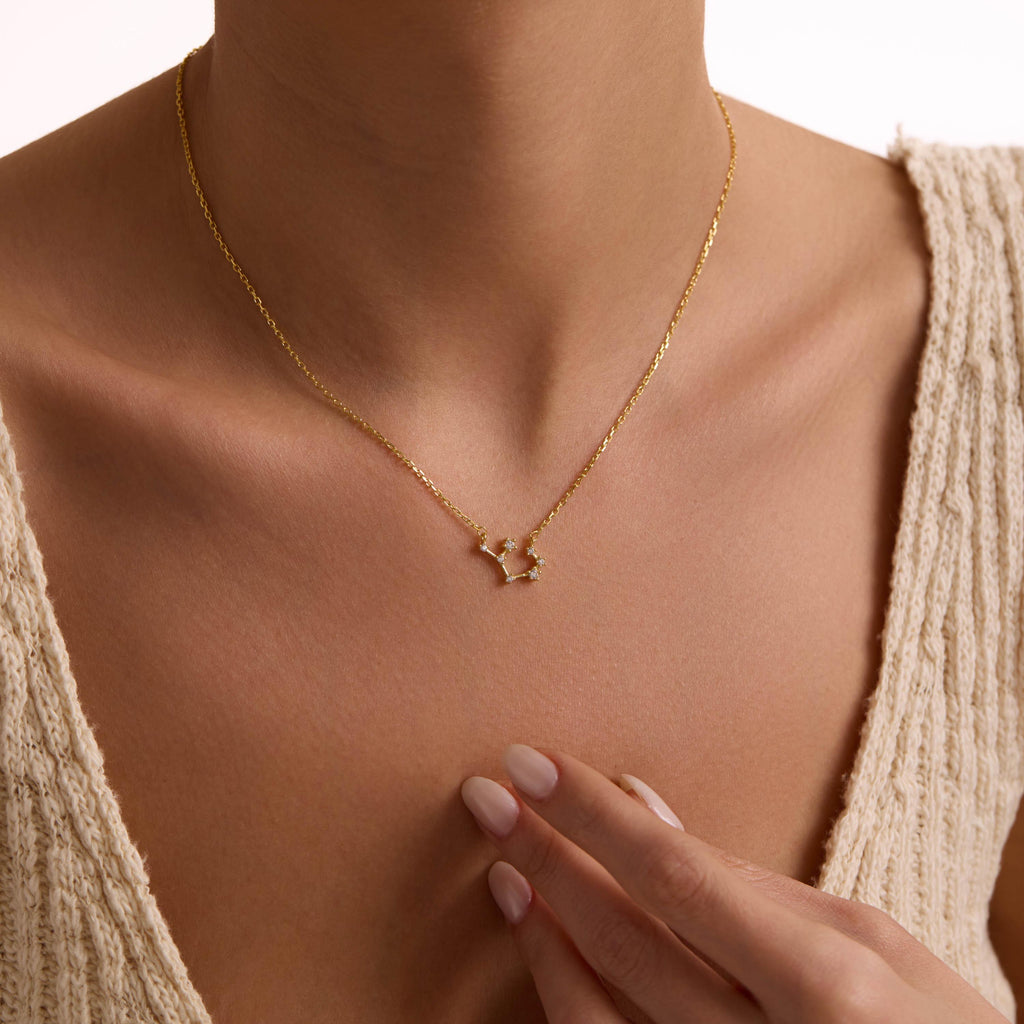 Sterling Silver Zodiac Constellation Necklace