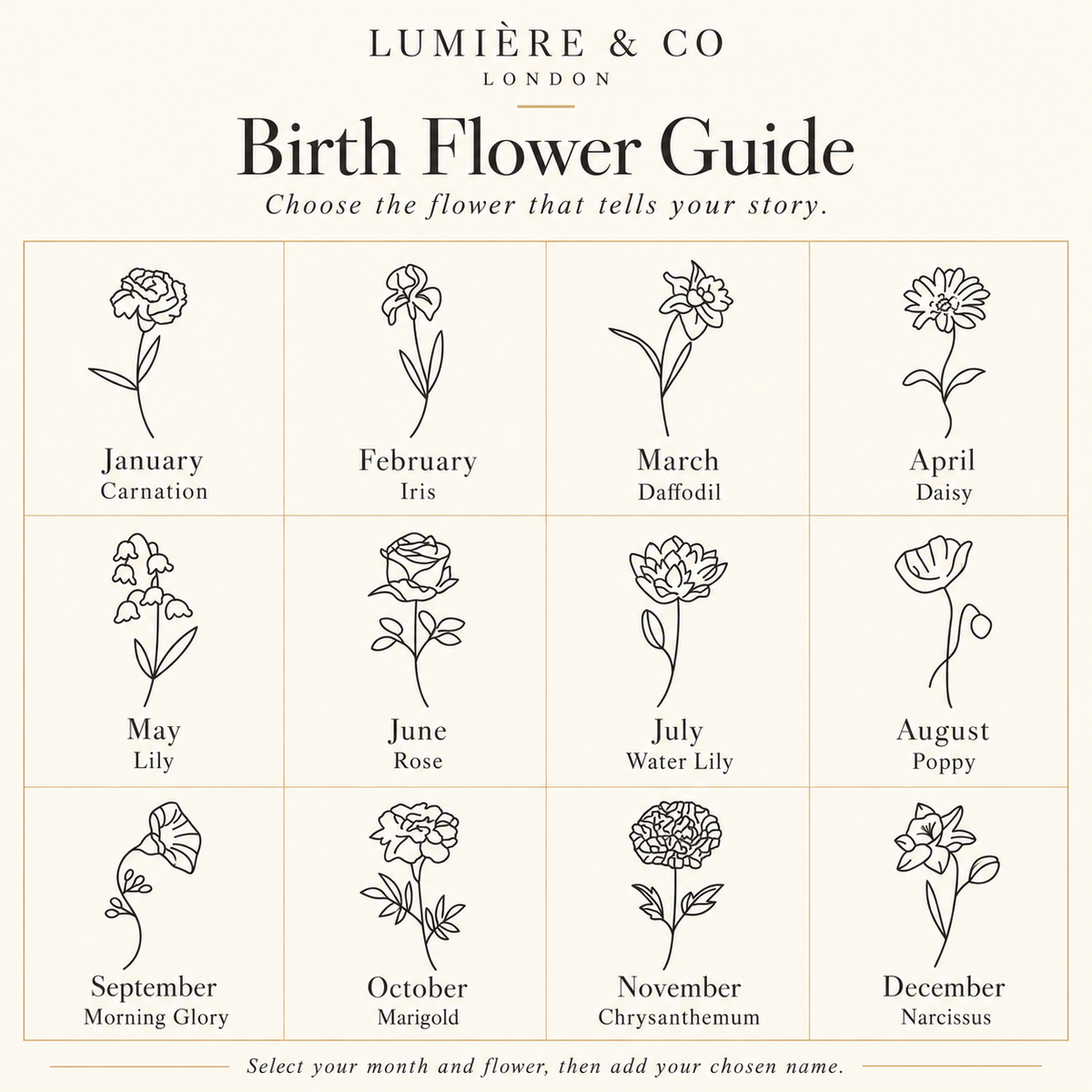 Birth flower guide with month names and flower drawings