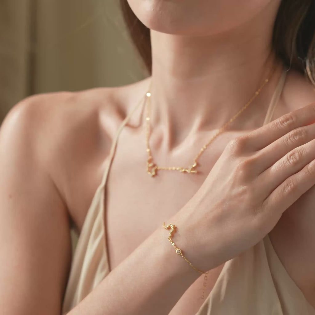 Sterling silver family zodiac constellation necklace shown on a model